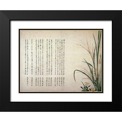 Asters And Susuki Grass 1805 Black Modern Wood Framed Art Print with Double Matting by Hokusai