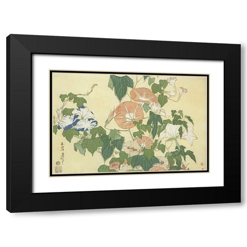 Convolvulus And Tree Frog Black Modern Wood Framed Art Print with Double Matting by Hokusai