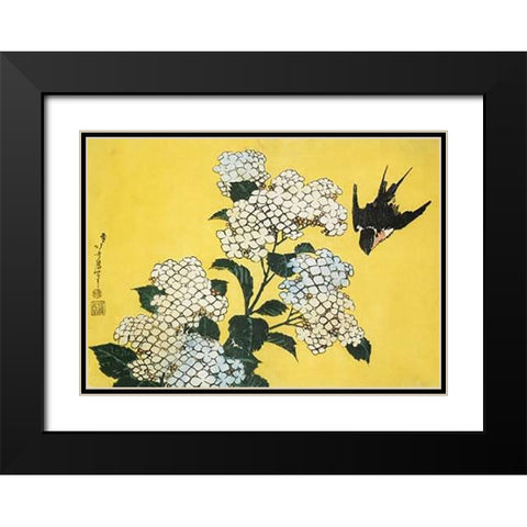 Hydrangea And Swallow Black Modern Wood Framed Art Print with Double Matting by Hokusai