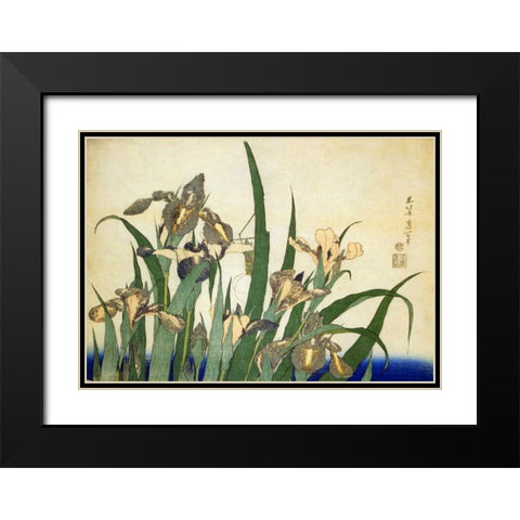 Irises Black Modern Wood Framed Art Print with Double Matting by Hokusai