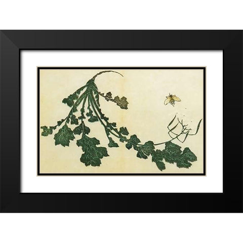 Radish And Bee 1814 Black Modern Wood Framed Art Print with Double Matting by Hokusai