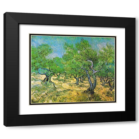 Olive Grove Black Modern Wood Framed Art Print with Double Matting by Van Gogh, Vincent