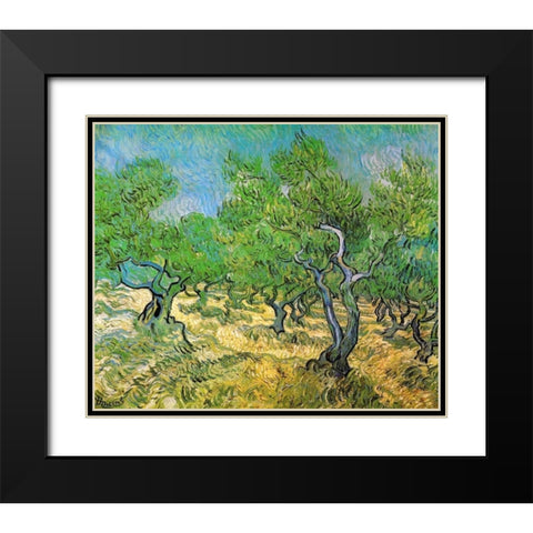Olive Grove Black Modern Wood Framed Art Print with Double Matting by Van Gogh, Vincent