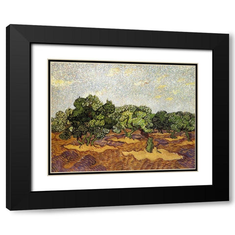 Olive Grove Pale Blue Sky Black Modern Wood Framed Art Print with Double Matting by Van Gogh, Vincent