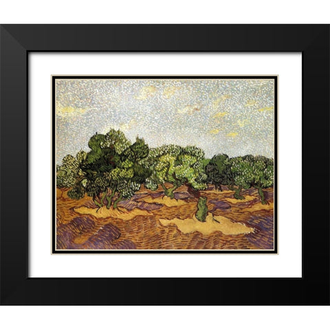 Olive Grove Pale Blue Sky Black Modern Wood Framed Art Print with Double Matting by Van Gogh, Vincent