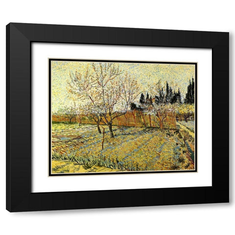 Orchard Springtime Black Modern Wood Framed Art Print with Double Matting by Van Gogh, Vincent