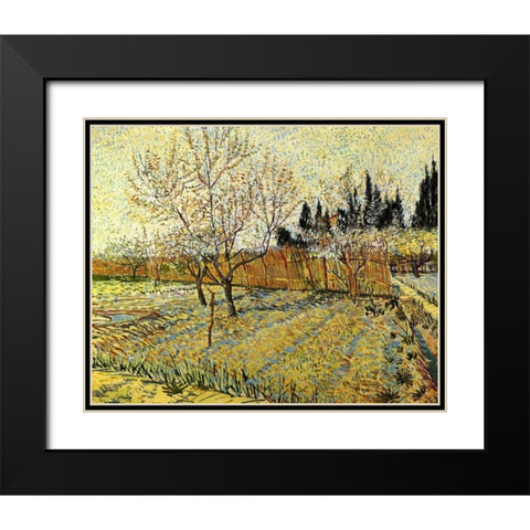 Orchard Springtime Black Modern Wood Framed Art Print with Double Matting by Van Gogh, Vincent