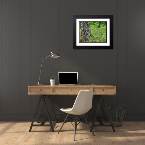 Pine Trees And Dandelions In The Garden Of Saint Paul Hospital 1890 Black Modern Wood Framed Art Print with Double Matting by Van Gogh, Vincent