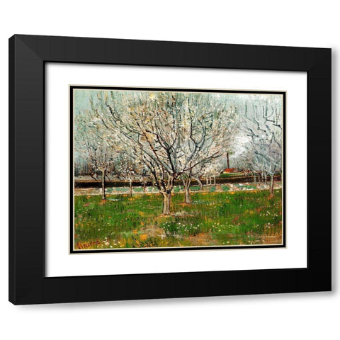 Plum Trees In Blossom Black Modern Wood Framed Art Print with Double Matting by Van Gogh, Vincent