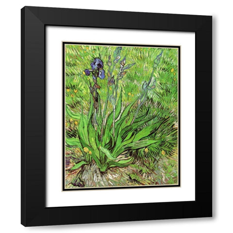 The Iris Black Modern Wood Framed Art Print with Double Matting by Van Gogh, Vincent