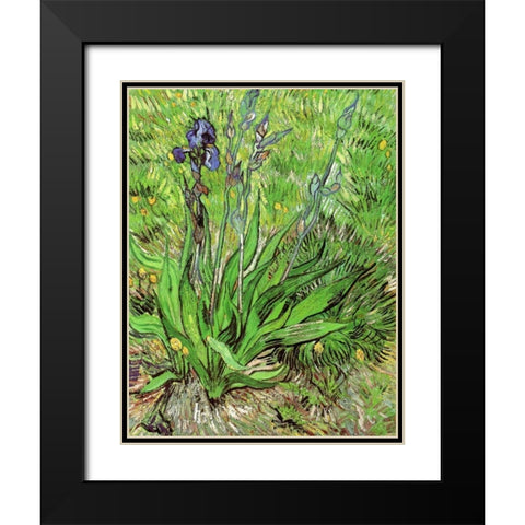 The Iris Black Modern Wood Framed Art Print with Double Matting by Van Gogh, Vincent