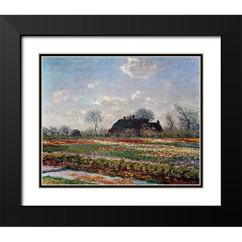 Tulip Field Sassenheim Black Modern Wood Framed Art Print with Double Matting by Van Gogh, Vincent