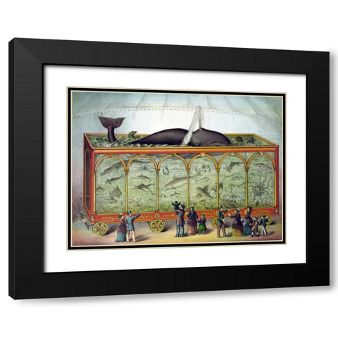 Aquarium Black Modern Wood Framed Art Print with Double Matting by Gibson and Co.