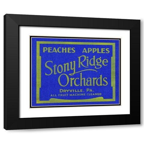 Stony Ridge Orchards Peaches and Apples Black Modern Wood Framed Art Print with Double Matting by Unknown