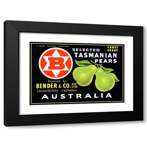 Bender and Co. Selected Tasmanian Pears Black Modern Wood Framed Art Print with Double Matting by Unknown