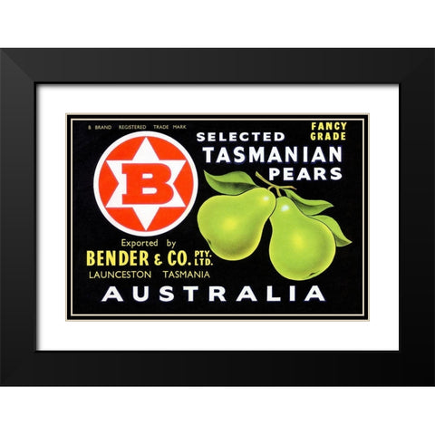Bender and Co. Selected Tasmanian Pears Black Modern Wood Framed Art Print with Double Matting by Unknown