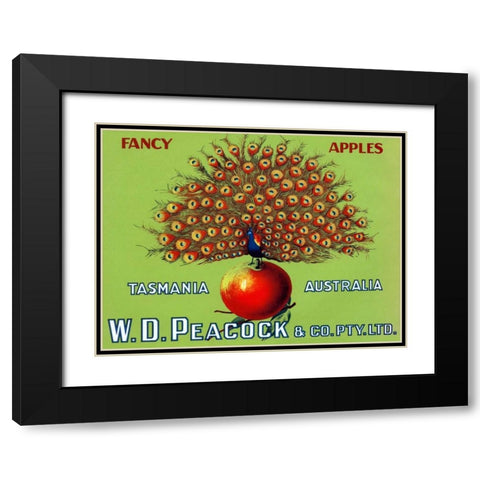 W.D. Peacock Fancy Apples Black Modern Wood Framed Art Print with Double Matting by Retrolabel
