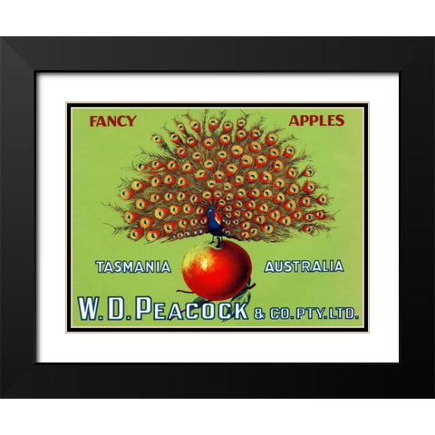 W.D. Peacock Fancy Apples Black Modern Wood Framed Art Print with Double Matting by Retrolabel