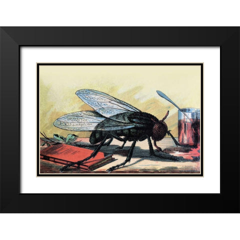 Fly Black Modern Wood Framed Art Print with Double Matting by Unknown