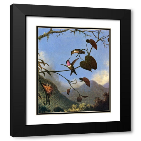 Amethyst Woodstar Black Modern Wood Framed Art Print with Double Matting by Heade, Martin Johnson