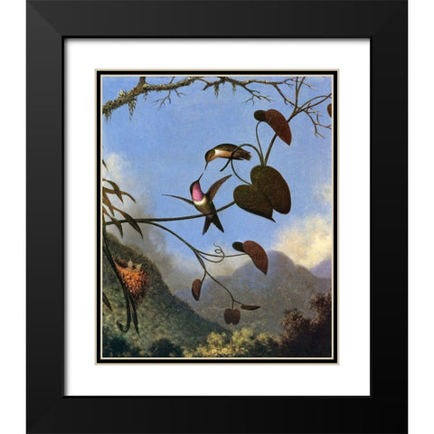 Amethyst Woodstar Black Modern Wood Framed Art Print with Double Matting by Heade, Martin Johnson
