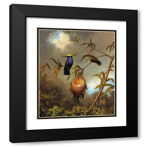 Black Breasted Plovercrest Black Modern Wood Framed Art Print with Double Matting by Heade, Martin Johnson