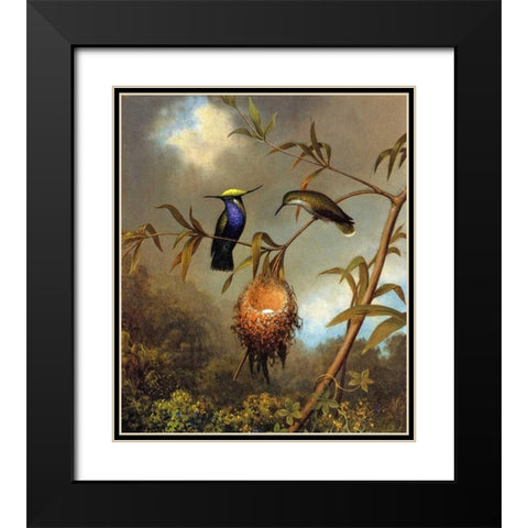 Black Breasted Plovercrest Black Modern Wood Framed Art Print with Double Matting by Heade, Martin Johnson