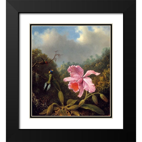 Fighting Hummingbirds With Pink Orchid Black Modern Wood Framed Art Print with Double Matting by Heade, Martin Johnson