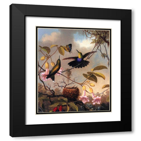 Fork Tailed Woodnymph Black Modern Wood Framed Art Print with Double Matting by Heade, Martin Johnson