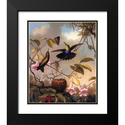 Fork Tailed Woodnymph Black Modern Wood Framed Art Print with Double Matting by Heade, Martin Johnson