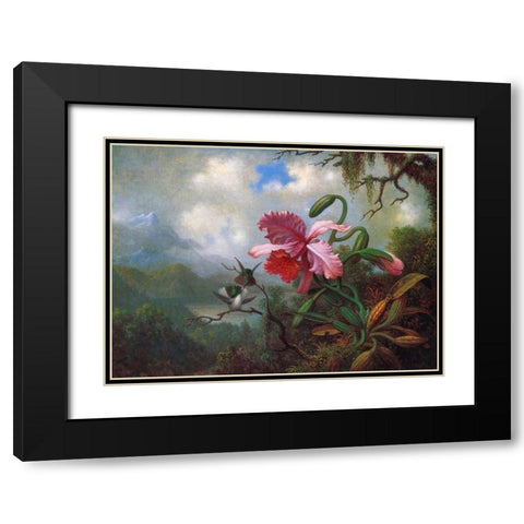 Orchid And Hummingbirds Near A Mountain Lake Black Modern Wood Framed Art Print with Double Matting by Heade, Martin Johnson