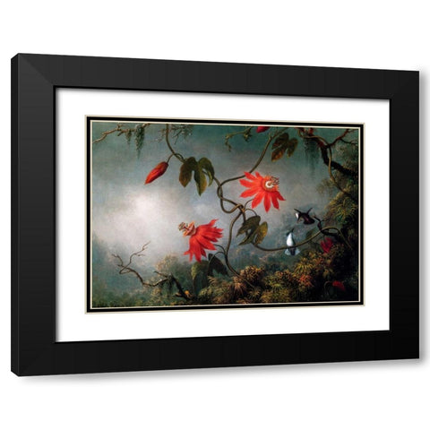 Passion Flowers And Hummingbirds Black Modern Wood Framed Art Print with Double Matting by Heade, Martin Johnson
