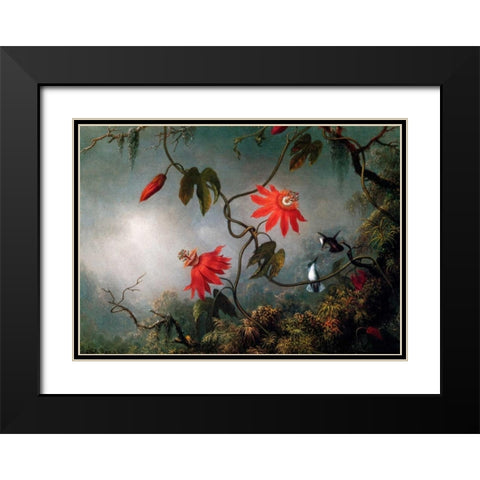 Passion Flowers And Hummingbirds Black Modern Wood Framed Art Print with Double Matting by Heade, Martin Johnson