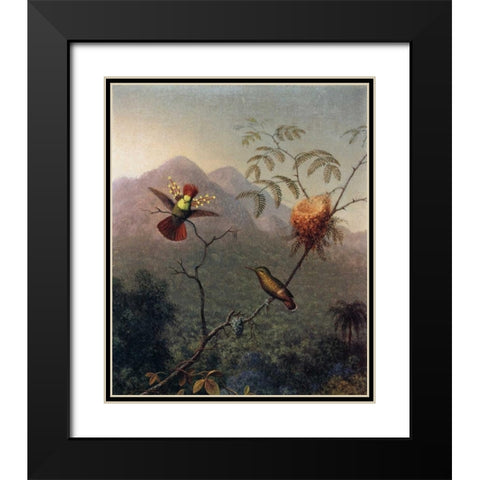 Tufted Coquette Black Modern Wood Framed Art Print with Double Matting by Heade, Martin Johnson