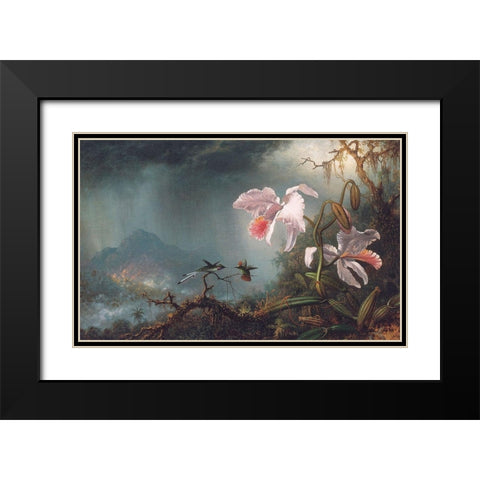 Two Fighting Hummingbirds With Two Orchids Black Modern Wood Framed Art Print with Double Matting by Heade, Martin Johnson