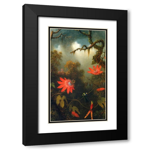 Two Hummingbirds Perched On Passion Flower Vines Black Modern Wood Framed Art Print with Double Matting by Heade, Martin Johnson