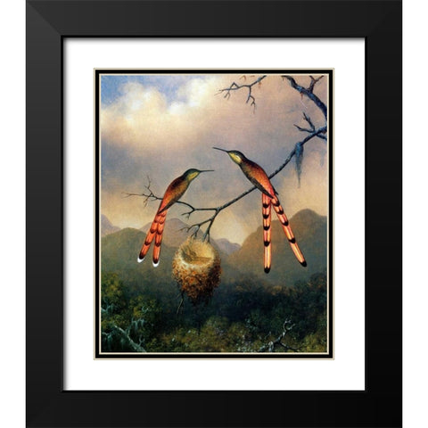 Two Hummingbirds With Their Young Black Modern Wood Framed Art Print with Double Matting by Heade, Martin Johnson