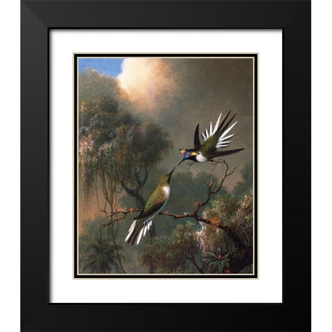 Two Sun Gems On A Branch Black Modern Wood Framed Art Print with Double Matting by Heade, Martin Johnson