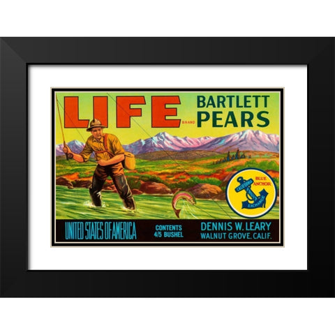 Life Brand Bartlett Pears Black Modern Wood Framed Art Print with Double Matting by Retrolabel