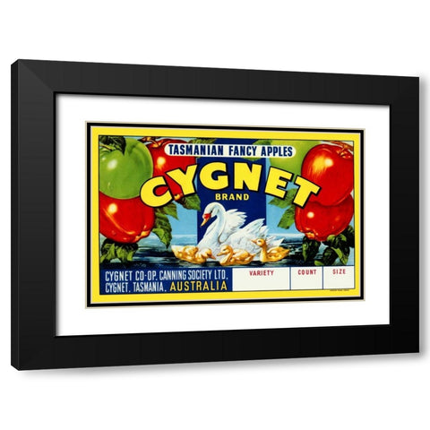 Cygnet Tasmanian Fancy Apples Black Modern Wood Framed Art Print with Double Matting by Retrolabel