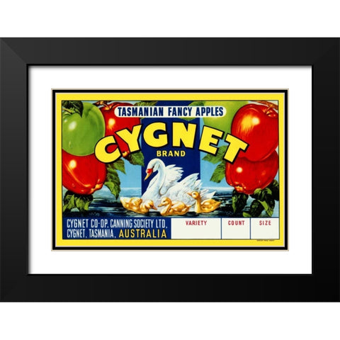 Cygnet Tasmanian Fancy Apples Black Modern Wood Framed Art Print with Double Matting by Retrolabel