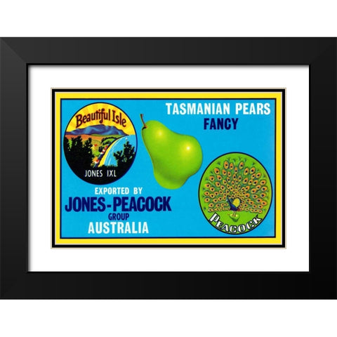 Jones-Peacock Tasmanian Pears Black Modern Wood Framed Art Print with Double Matting by Retrolabel