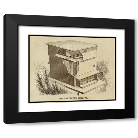 Ides Improved Beehive Black Modern Wood Framed Art Print with Double Matting by Inventions