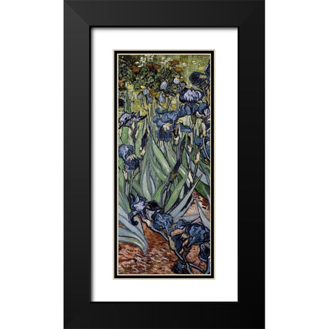 Irises (center) Black Modern Wood Framed Art Print with Double Matting by Van Gogh, Vincent
