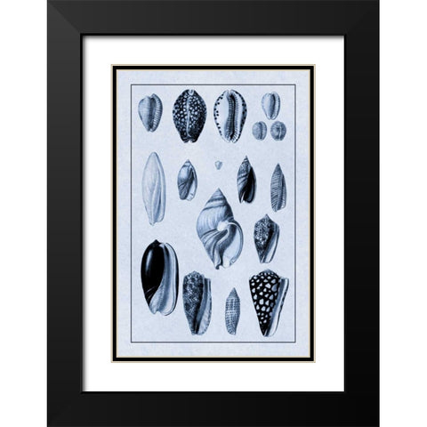 Shells: Convoltae and Orthocerata (Blue) Black Modern Wood Framed Art Print with Double Matting by Sowerby, G.B.