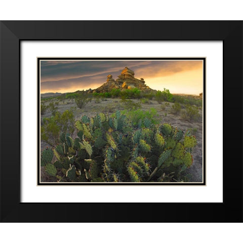 Opuntia and hoodoos, Big Bend National Park, Chihuahuan Desert, Texas Black Modern Wood Framed Art Print with Double Matting by Fitzharris, Tim