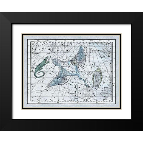 Maps of the Heavens: The Swan in the Milkyway Black Modern Wood Framed Art Print with Double Matting by Jamieson, Alexander