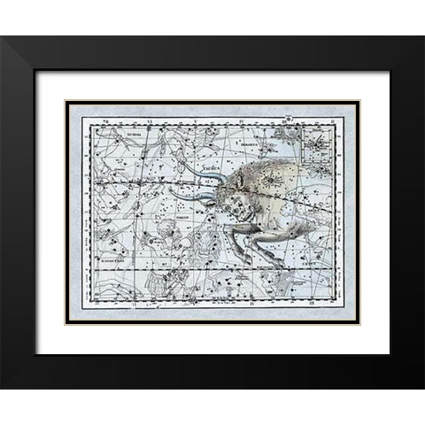 Maps of the Heavens: Taurus the Bull Black Modern Wood Framed Art Print with Double Matting by Jamieson, Alexander