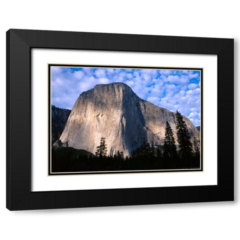 El Capitan rising over the forest, Yosemite National Park, California Black Modern Wood Framed Art Print with Double Matting by Fitzharris, Tim