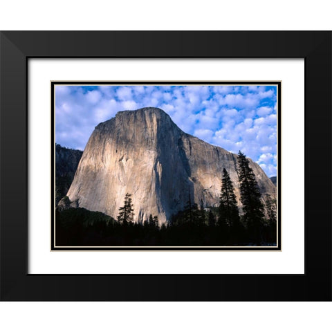 El Capitan rising over the forest, Yosemite National Park, California Black Modern Wood Framed Art Print with Double Matting by Fitzharris, Tim